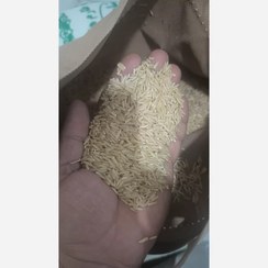 تصویر برنج،قهوه ای رژیمی هاشمی ( 5 ) کیلو گرم ( ارسال رایگان ) 