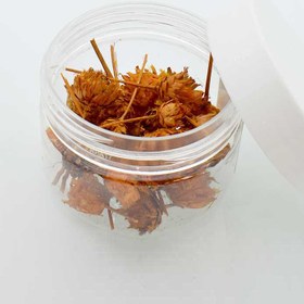 تصویر گل خشک فندقی نارنجی 