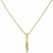 تصویر پلاک آویز طرح پر 