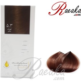 تصویر کيت رنگ موی زی فام شماره 5.3 Zi Fam Hair Color Kit No.5.3