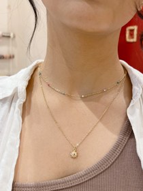 تصویر گردنند دولاین خورشید 