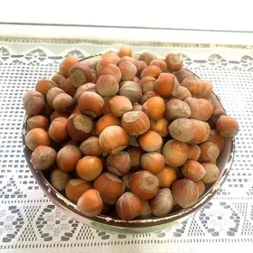 تصویر فندق تازه رودسر 500 گرمی 