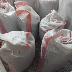 تصویر پسته شاه پسند دامغان 