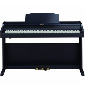 تصویر Roland RP501 