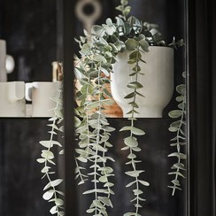 تصویر گیاه اکالیپتوس مصنوعی ایکیا مدل FEJKA IKEA FEJKA Artificial potted plant