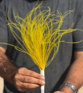 تصویر فروشگاه گلستونک