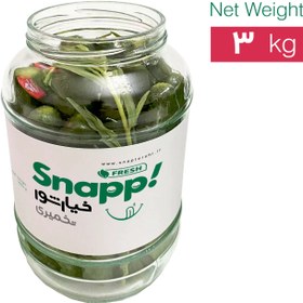 تصویر خیارشور تخمیری ( 3000 گرم ) KHIARSHOOR TAKHMIRI (PROBIOTIC)