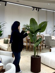 تصویر درختچه پرنده بهشتی مصنوعی 10برگ 