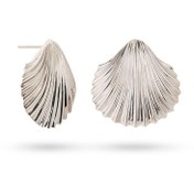 تصویر گوشواره نقره صدف ویژن ESi-034