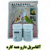 تصویر آلفاسریل Alfaceryl اصل | آنتی‌بیوتیک ترکیبی قوی برای درمان بیماری‌های پرندگان زینتی – فروشگاه پرنده‌بان - 30 گرم alfaceryl