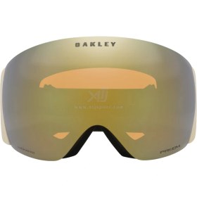 تصویر عینک اسکی اوکلی مدل Flight Deck Pro L 