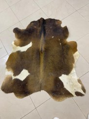 تصویر پوست طبیعی گاو تزنیِِینی 17 پا cow skin