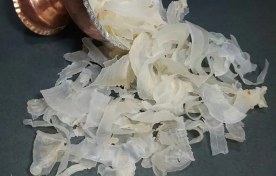 تصویر کتیرای خوراکی<کتیرا گل> 