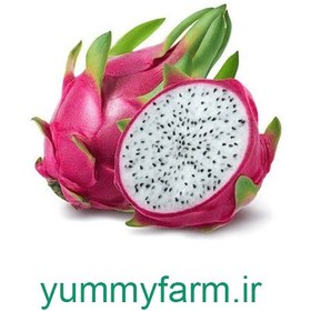 تصویر دراگون فروت سفید 