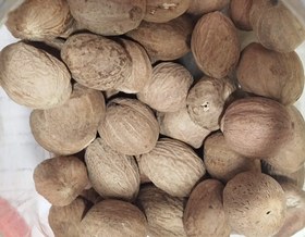 تصویر جوز هندی - 100گرم / اسیاب شده Nutmeg