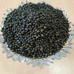 تصویر بذر قره ماش 