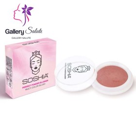 تصویر رژگونه دوآل فینیش سوشیا Soshia Dual Finish Blush 