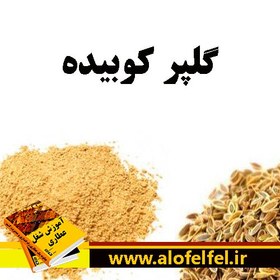 تصویر گلپر کوبیده الموت 