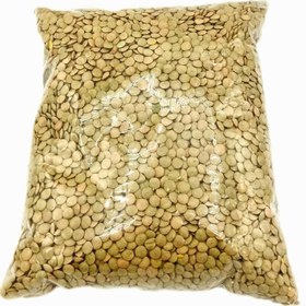 تصویر عدس (1 کیلوگرم) 