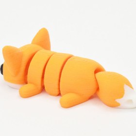 تصویر روباه 