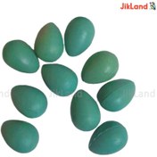 تصویر تخم مصنوعی قناری 