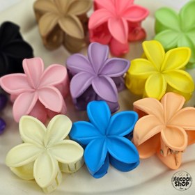 تصویر کلیپس پلومریا سایز کوچک - زرد 