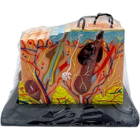 تصویر مولاژ پوست 