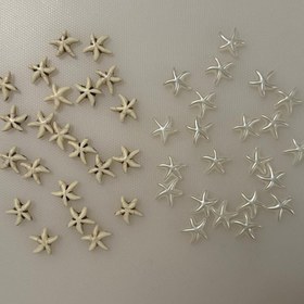 تصویر مهره ستاره دریایی 