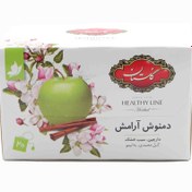 تصویر دمنوش کیسه ای مخلوط گیاهی آرامش با طعم سیب و دارچین 20 عددی گلستان (جعبه) 