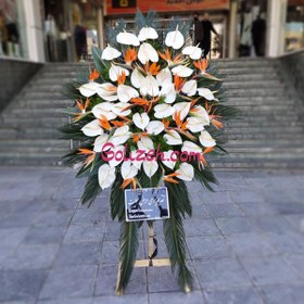 تصویر تاج گل پرنده بهشتی 