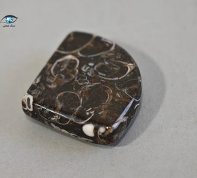 تصویر فسیل توریتلا 2.6 گرم 