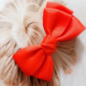 تصویر گلسر پاپیونی کوچک رنگی 