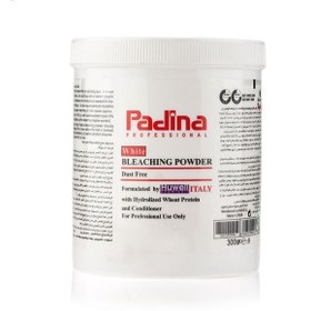 تصویر پودر دکلره پادینا مدل سفید 300 گرم PADINA WHITE POWDER 300G