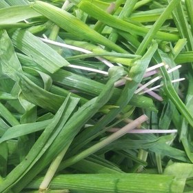 تصویر بن سرخ یا بن سور خشک(200 گرم) 