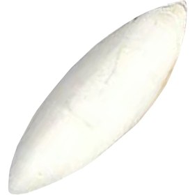 تصویر کف دریا کد M136 وزن 70 گرم 