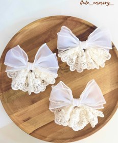 تصویر پاپیون گیره فرانسوی 