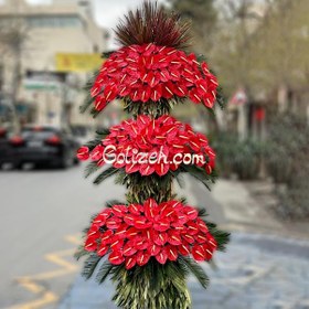 تصویر گل افتتاحیه بهرام 