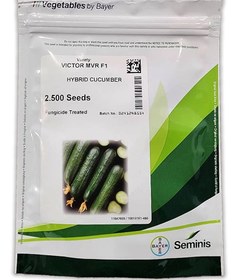 تصویر بذر خیار ویکتور ۲۵۰۰ عددی 