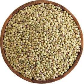 تصویر تخم گشنیز 