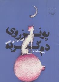 تصویر پونز روی دم گربه 