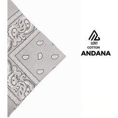 تصویر باندانا طوسی 