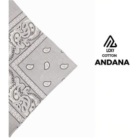 تصویر باندانا طوسی 