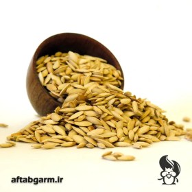 تصویر تخمه کدو ریز 