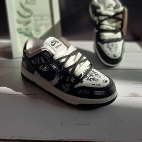 تصویر نایک sb 