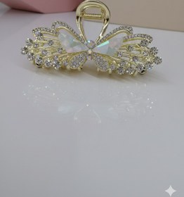 تصویر کلیپس 