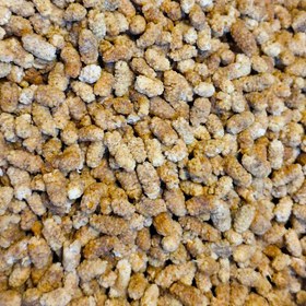 تصویر توت خشک اعلا 