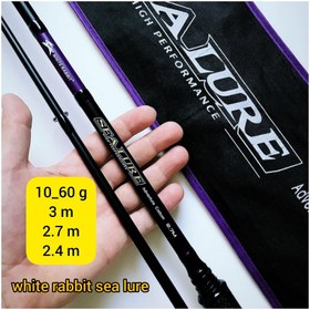 تصویر چوب ماهیگیری اسپین White rabbit sea lure-Adventure carbon 