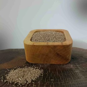 تصویر زنیان 