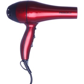 تصویر سشوار حرفه ای پرنسلی مدل PR228 ا Princely PR228 Professional Hair Dryer Princely PR228 Professional Hair Dryer