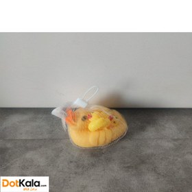 تصویر اردک حمام 